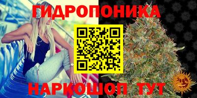 спиды Чапаевск