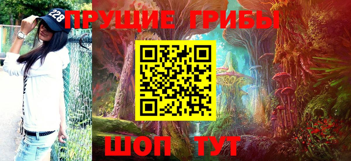Миасс  Галлюциногенные грибы Psilocybine cubensis  Вход с VPN 